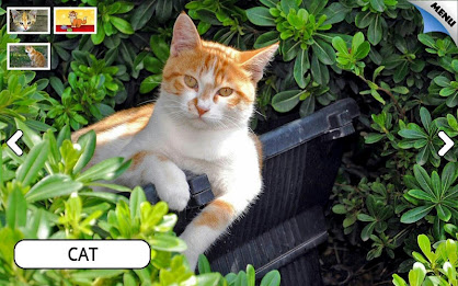 Zoo and Farm Animals for Kids poster 7