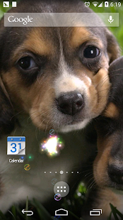 How to install dream dog lwp free lastet apk for bluestacks