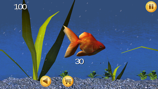免費下載街機APP|Goldfish Fun 3D app開箱文|APP開箱王