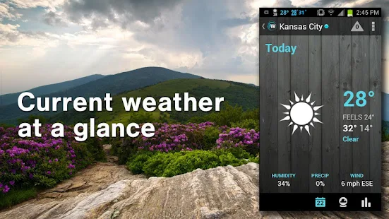 Weather Pro: Local Forecast, Radar v2.4.2 (1Weather) 
