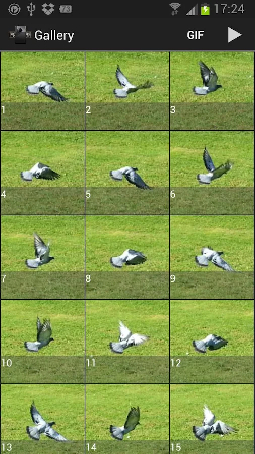 High-Speed Camera - Burst Mode - screenshot