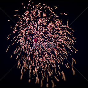 Celebrations!!! by Annesha Dasgupta - Uncategorized All Uncategorized