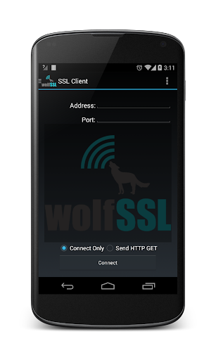 SSL Client