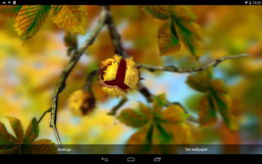 【免費個人化App】Autumn Leaves in HD Gyro 3D XL-APP點子