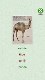 Lastest Flashcards Dutch Lesson APK for PC