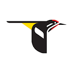Cover Image of Download Merlin Bird ID by Cornell Lab  APK