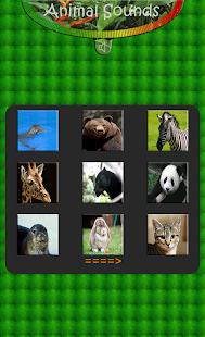 Lastest Animal real Sounds APK for PC