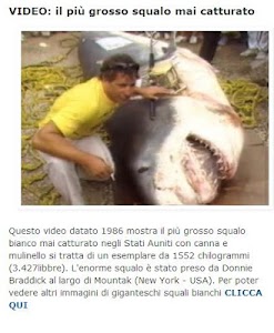 Mondo Pesca News screenshot 4