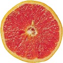 Pamplemousse Viewer logo