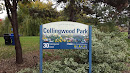 Collingwood Park