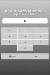 Dynamic Vision Checker poster 2
