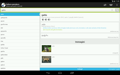 Lastest Italian-Georgian Dictionary APK