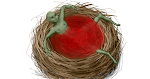9. What is in the Nest?