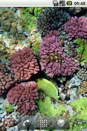 Underwater LWP Free poster 3