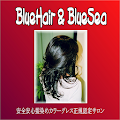 Safety hair dyed color gress Blue Sea Apk