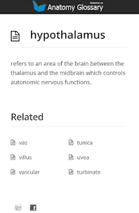 Anatomy Glossary