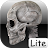 Human bones lite APK - Download for Windows