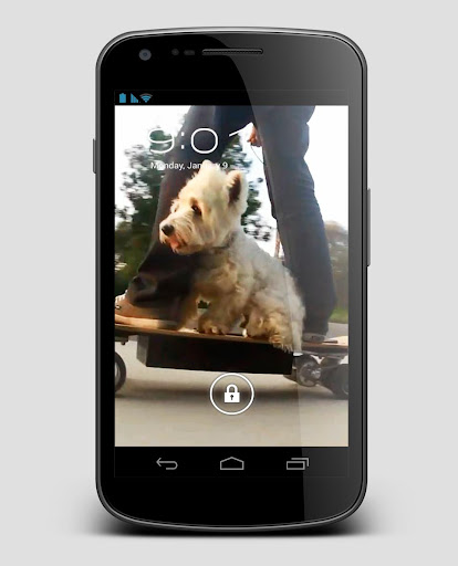 免費下載個人化APP|Skate Dog Terrier Live Wallpap app開箱文|APP開箱王