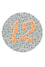 ���� ����������