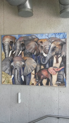 Wandbild Elefanten