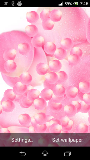 免費下載娛樂APP|3D Pink Rose Petals HD Live app開箱文|APP開箱王