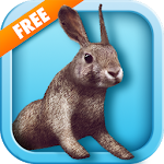 Bunny Simulator Free Apk