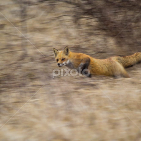 not the greatest shot but i thought it was cool by Kris Kessinger - Uncategorized All Uncategorized
