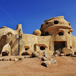 Turtle House by Carole Walle -  