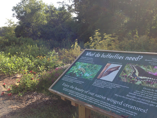 Butterfly Walk at Ivy Creek Natural Area