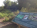 Butterfly Walk at Ivy Creek Natural Area