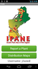 ipane poster 2