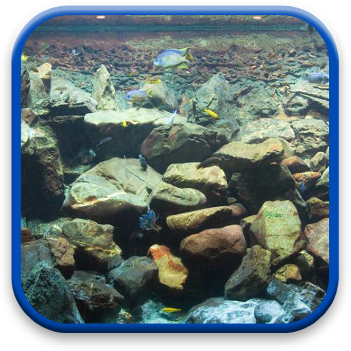 Aquarium Live Wallpaper 個人化 App LOGO-APP開箱王