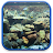 Download Aquarium Hintergrundbilder APK für Windows