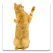 Dancing Cat