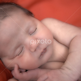 Dreamland by Nick Cancilliere - Babies & Children Babies