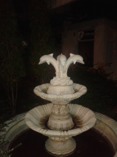 Delfinia fontana po mostom