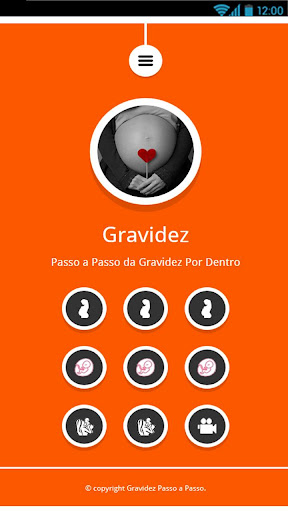 Gravidez Passo a Passo