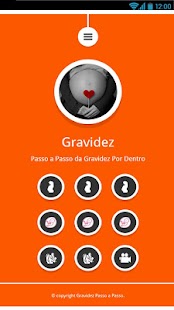 Download Gravidez Passo a Passo APK for Android
