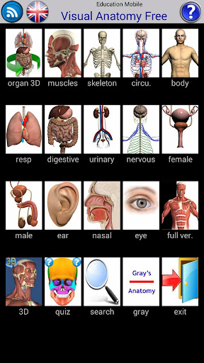 Visual Anatomy Free