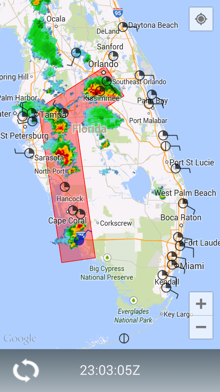 WX Copilot Screen 2