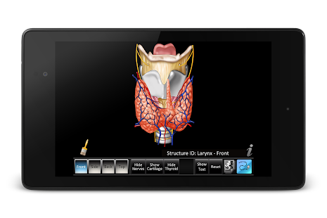 Larynx ID Screenshots 6