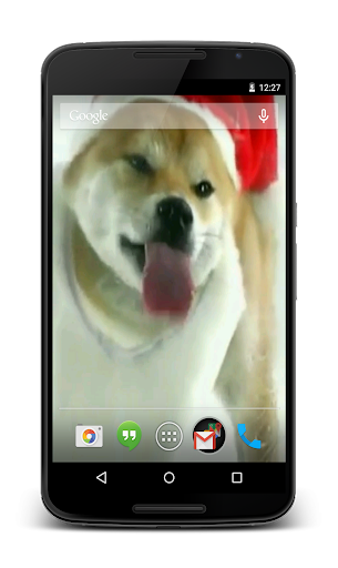 【免費個人化App】Christmas Puppy Live Wallpaper-APP點子