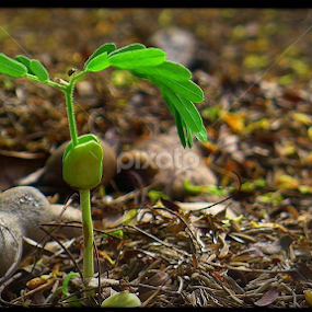 by Paul Agraviador - Uncategorized All Uncategorized