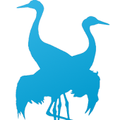 Bird Quiz: Nordic Birds