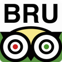 Brussels City Guide mobile app icon