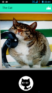 How to mod The Cat lastet apk for android