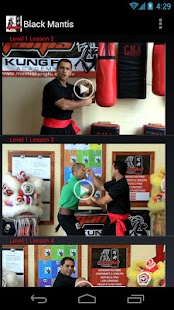 How to install Black Mantis Kung Fu 2.2 mod apk for pc