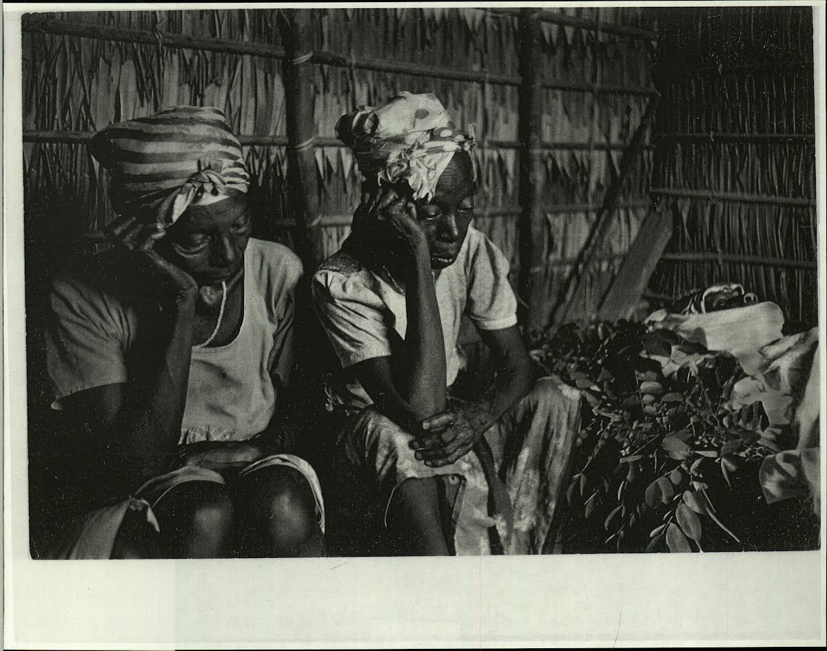 Gabon — Google Arts & Culture