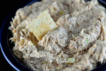 The Best Chicken Dip Recipe