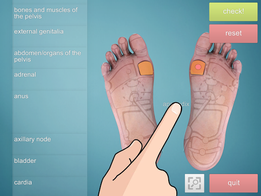 Drag Drop Reflexology foot